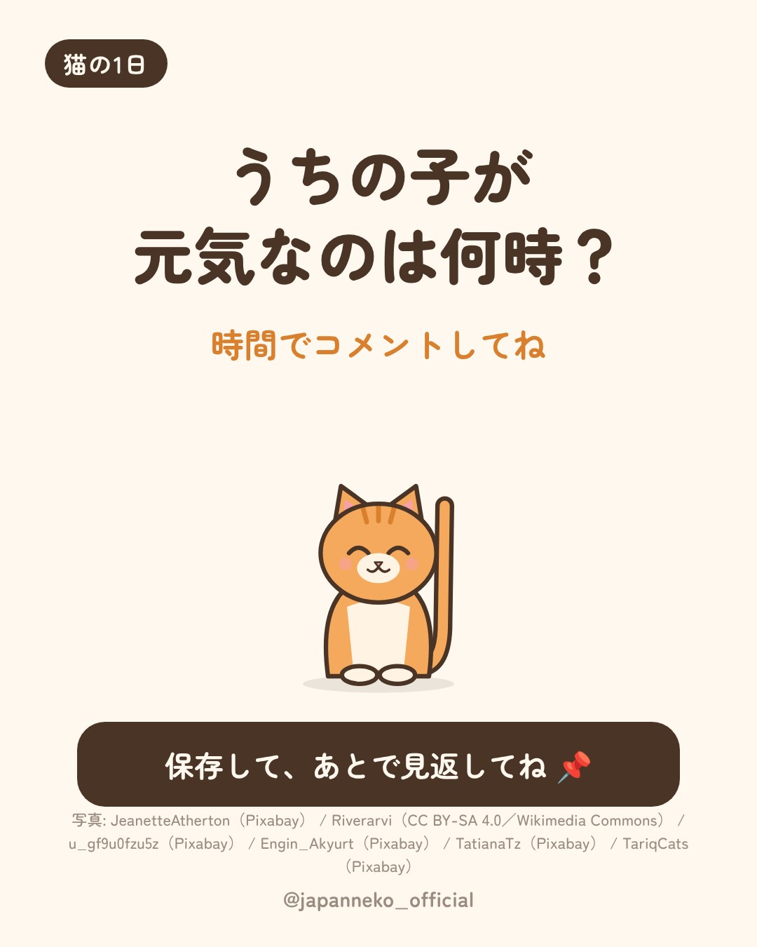 猫の1日、だいたいこう（7枚目）
