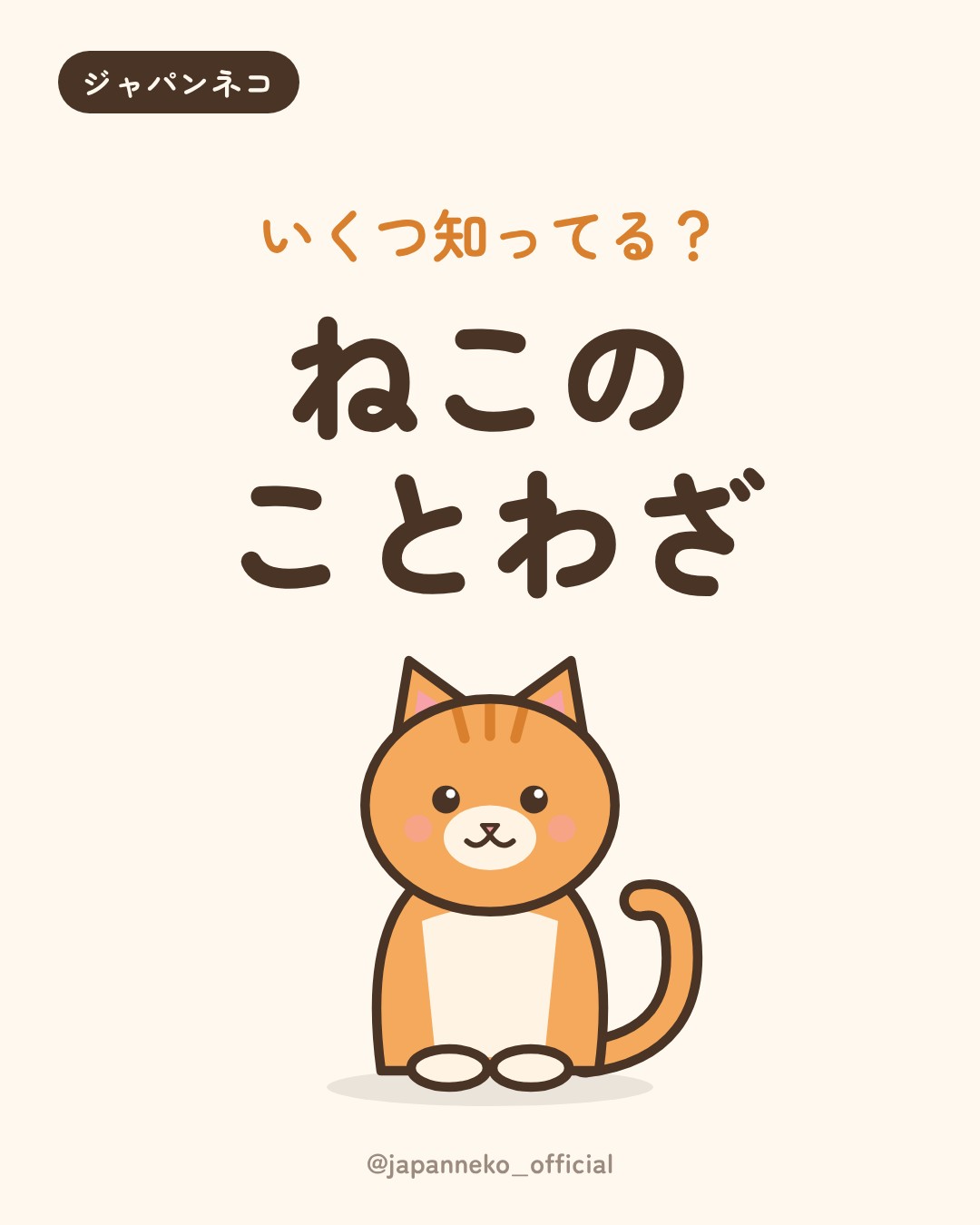 猫のことわざ、いくつ知っていますか？