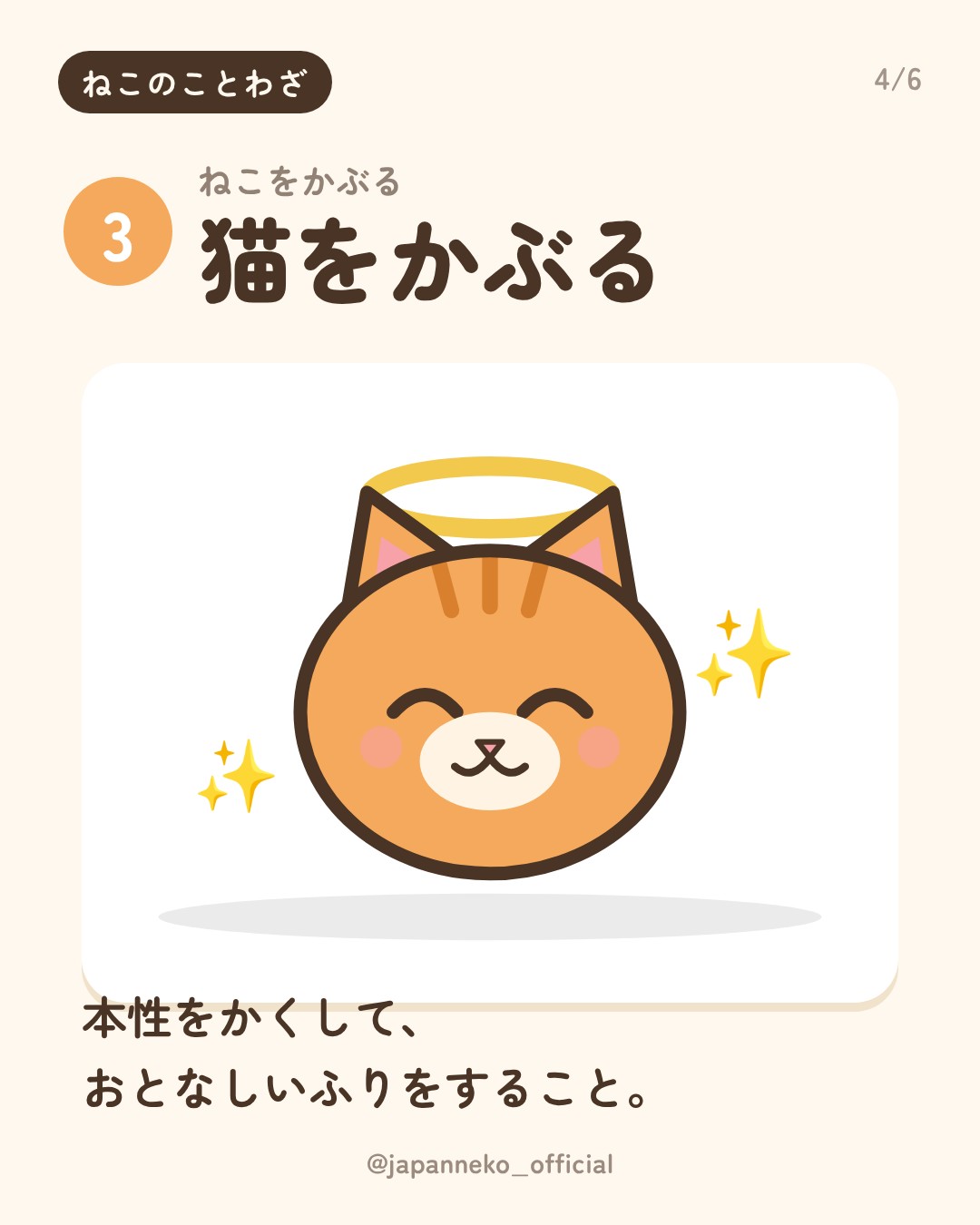 猫のことわざ、いくつ知っていますか？（4枚目）