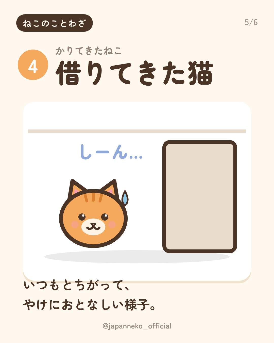 猫のことわざ、いくつ知っていますか？（5枚目）