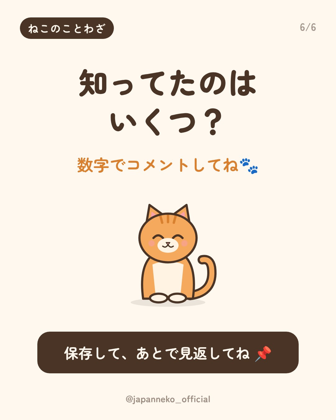 猫のことわざ、いくつ知っていますか？（6枚目）