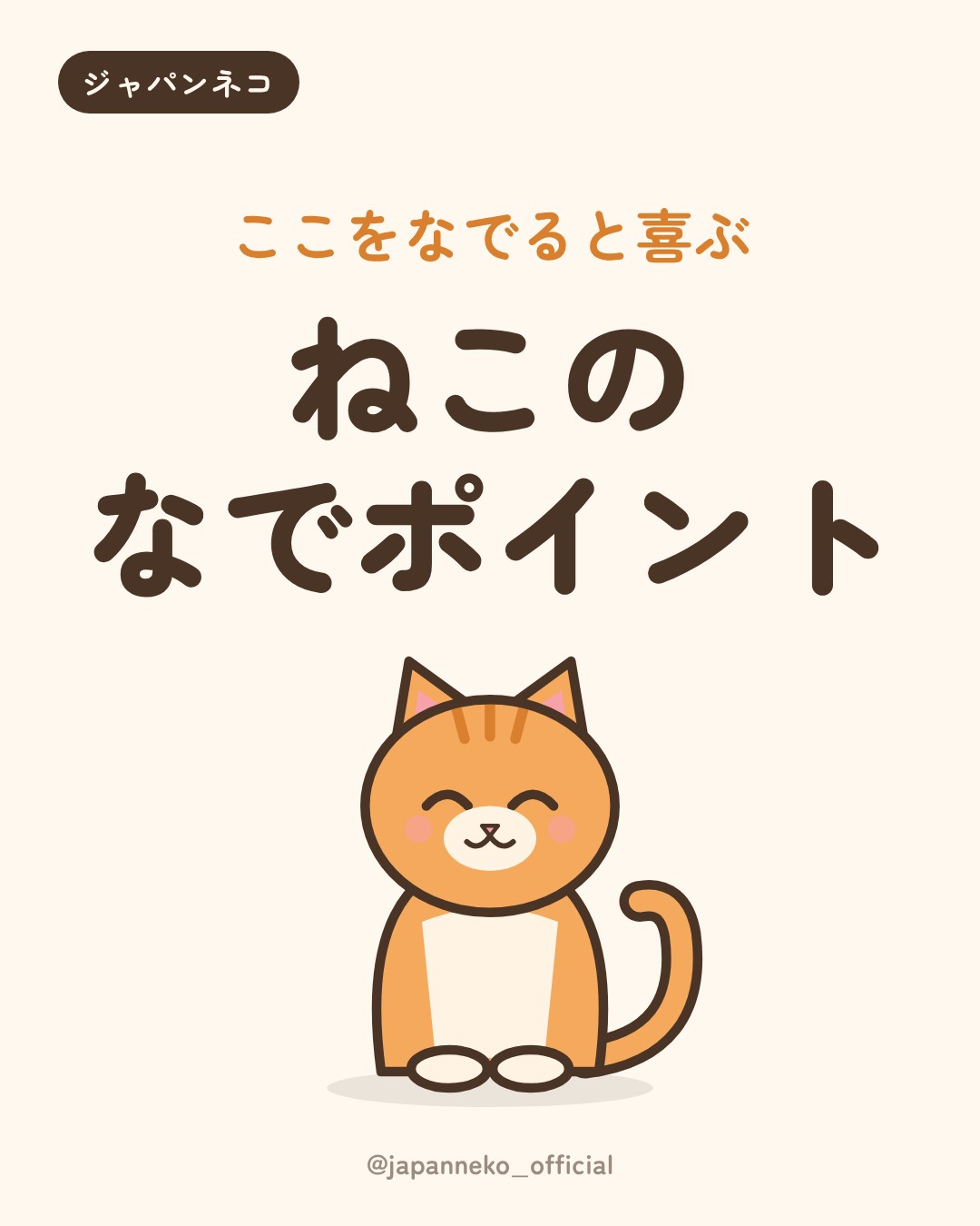 猫がよろこぶ、なでポイント3つ