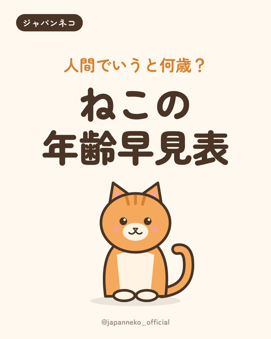 猫の年齢を人間に換算すると何歳？早見表にまとめました。