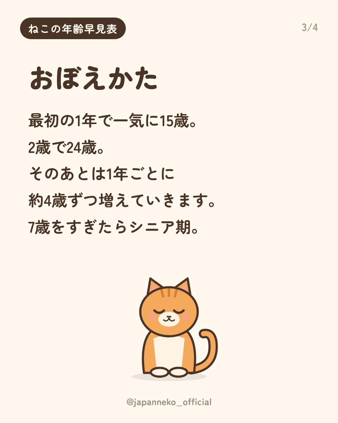 猫の年齢を人間に換算すると何歳？早見表にまとめました。（3枚目）