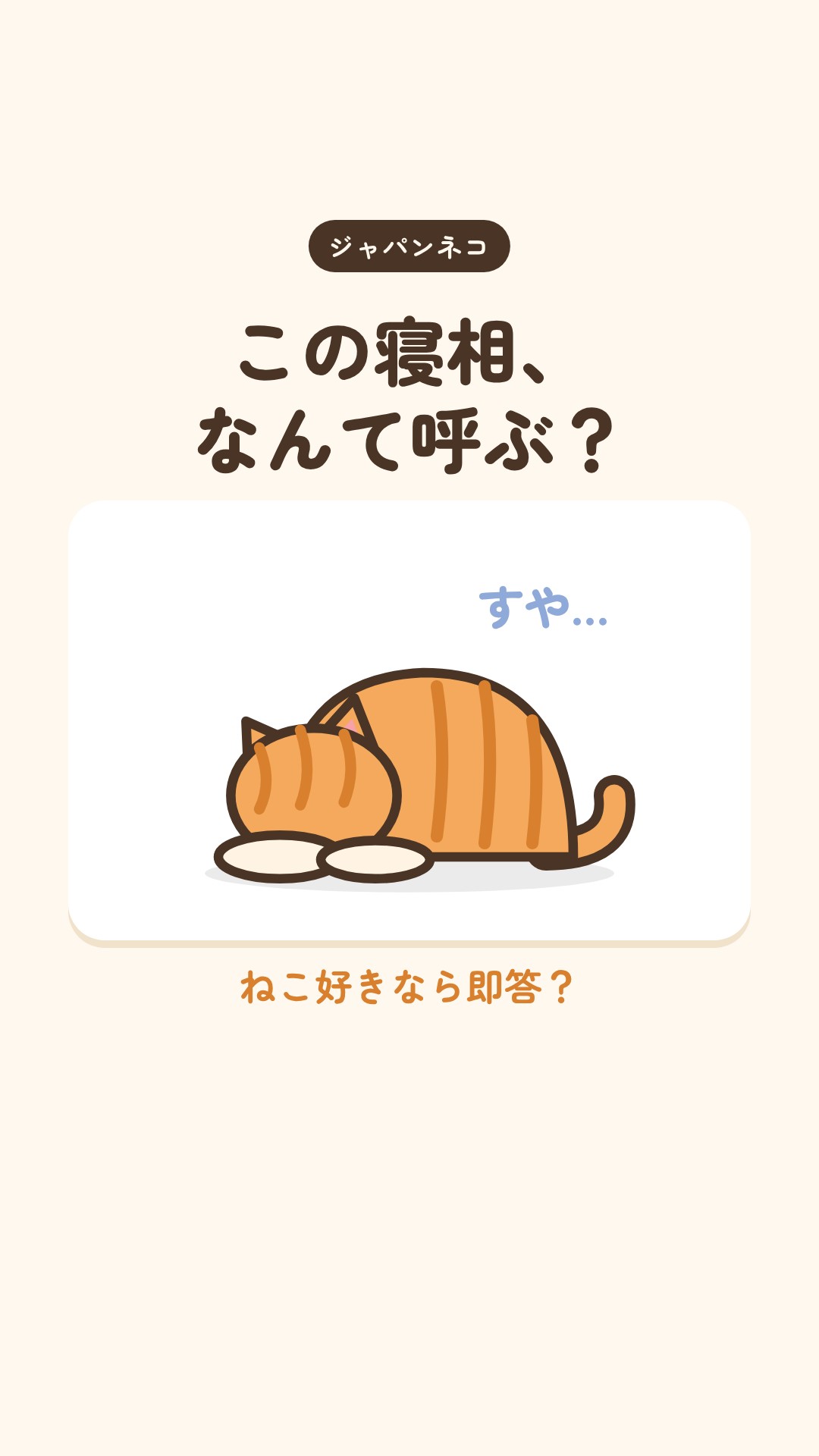 猫の寝相クイズ、2問とも分かりましたか？