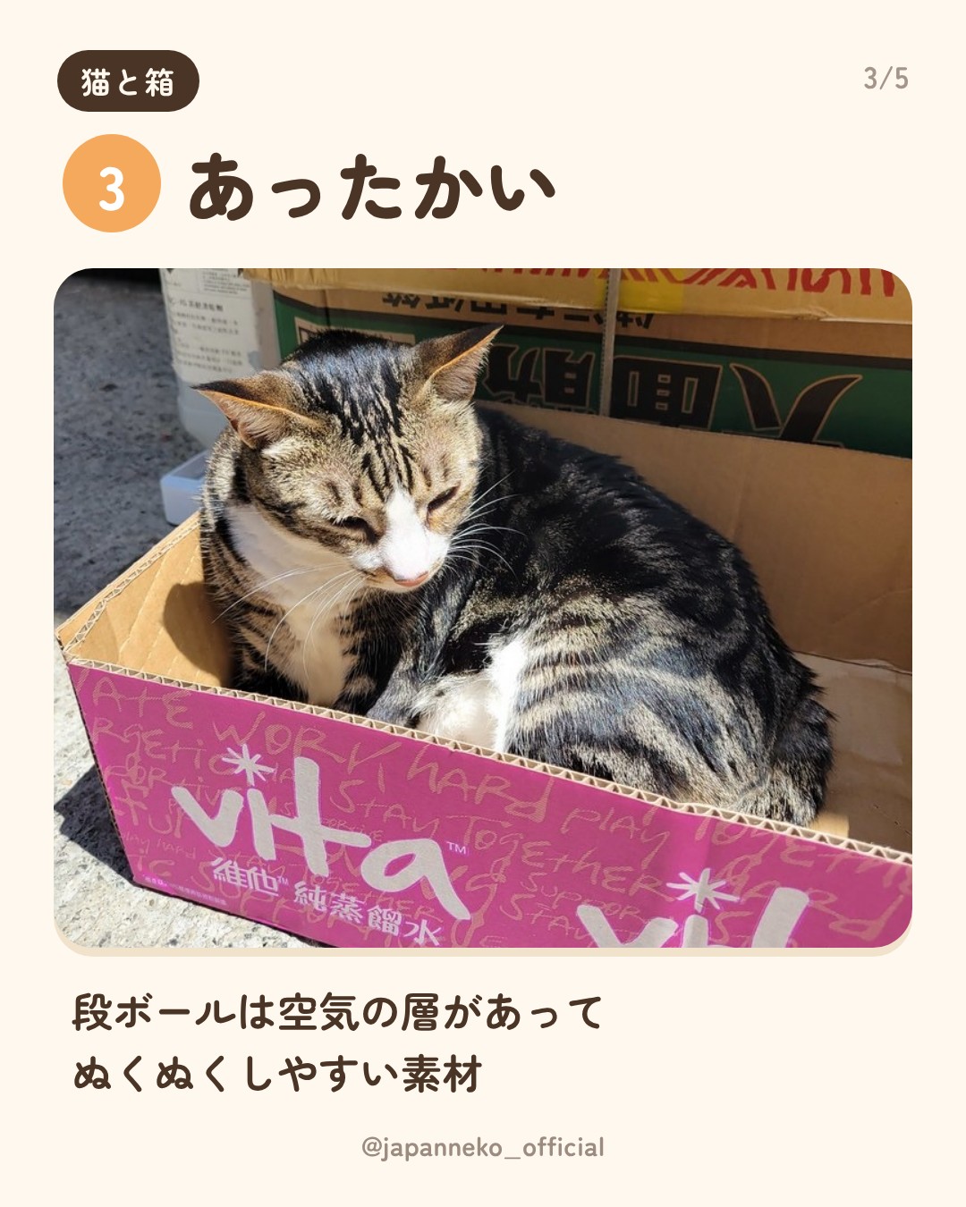 猫はなぜ箱に入りたがるの？（4枚目）
