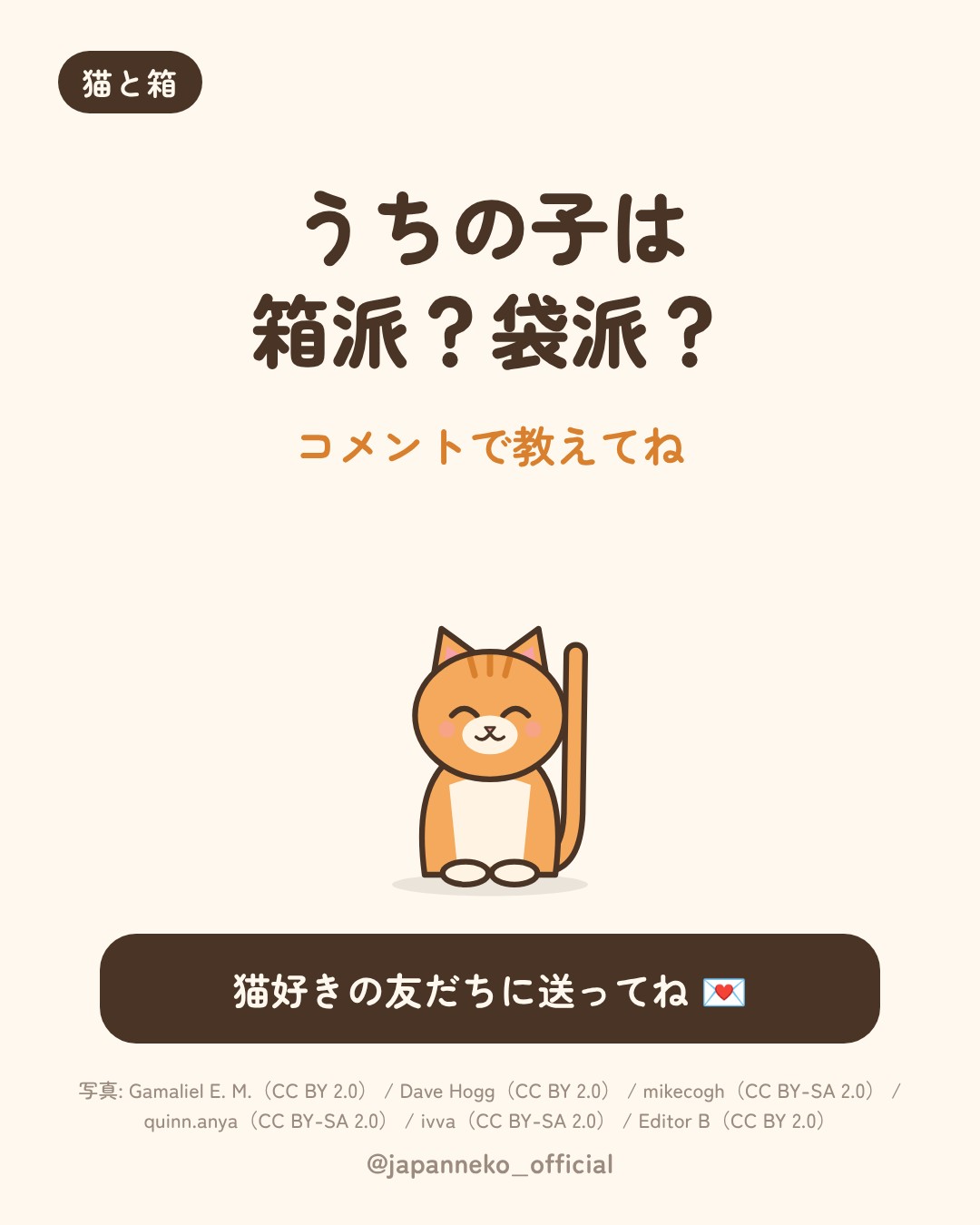 猫はなぜ箱に入りたがるの？（7枚目）