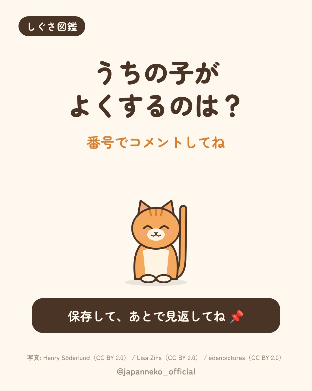 猫のしぐさの意味、いくつ知っていますか？（7枚目）