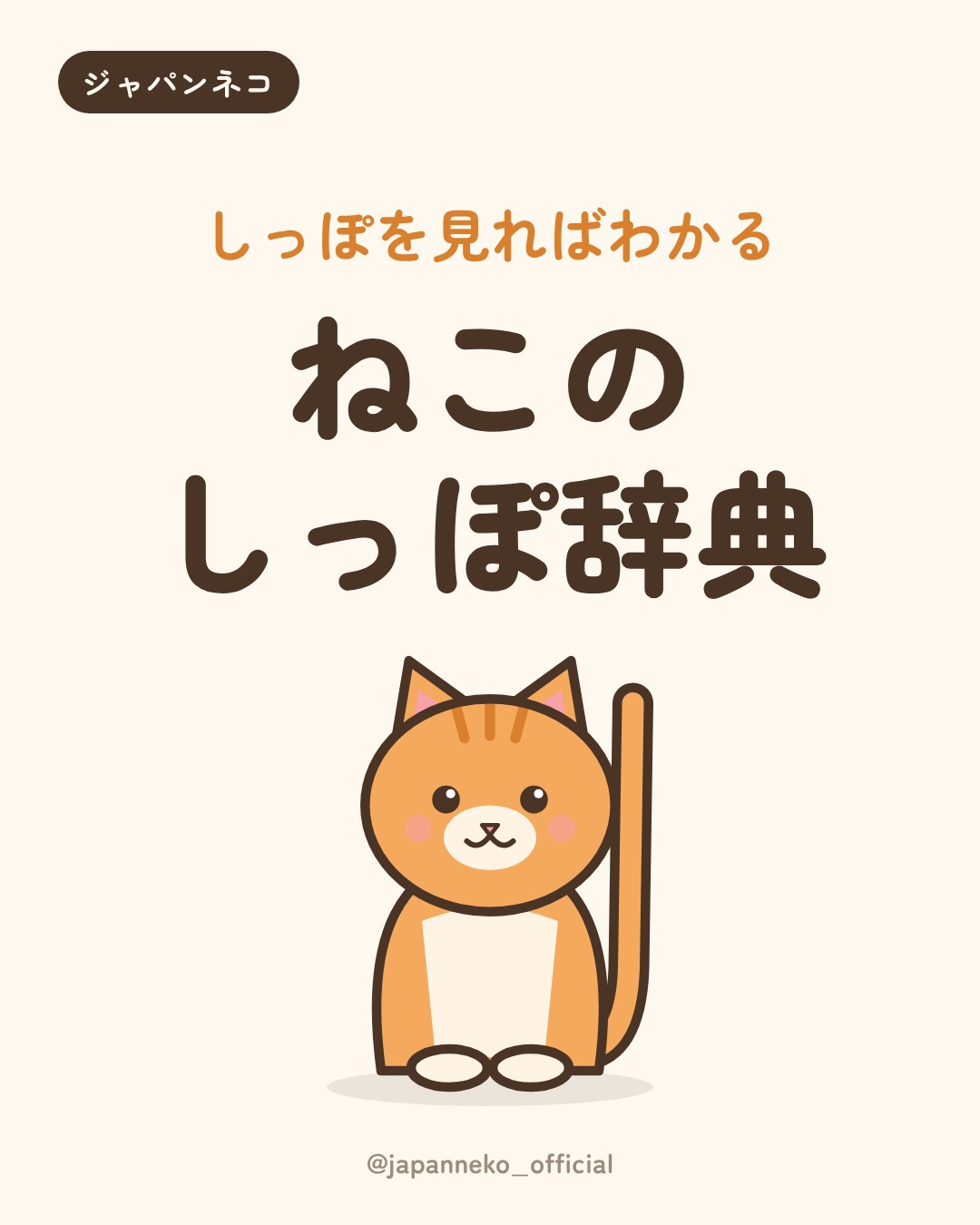 猫のしっぽの気持ち、読めていますか？