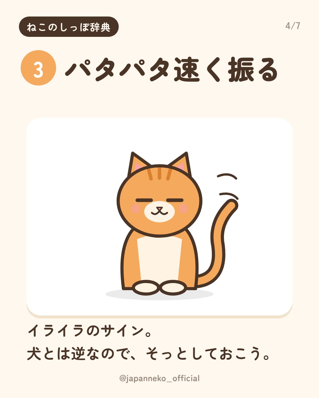 猫のしっぽの気持ち、読めていますか？（4枚目）