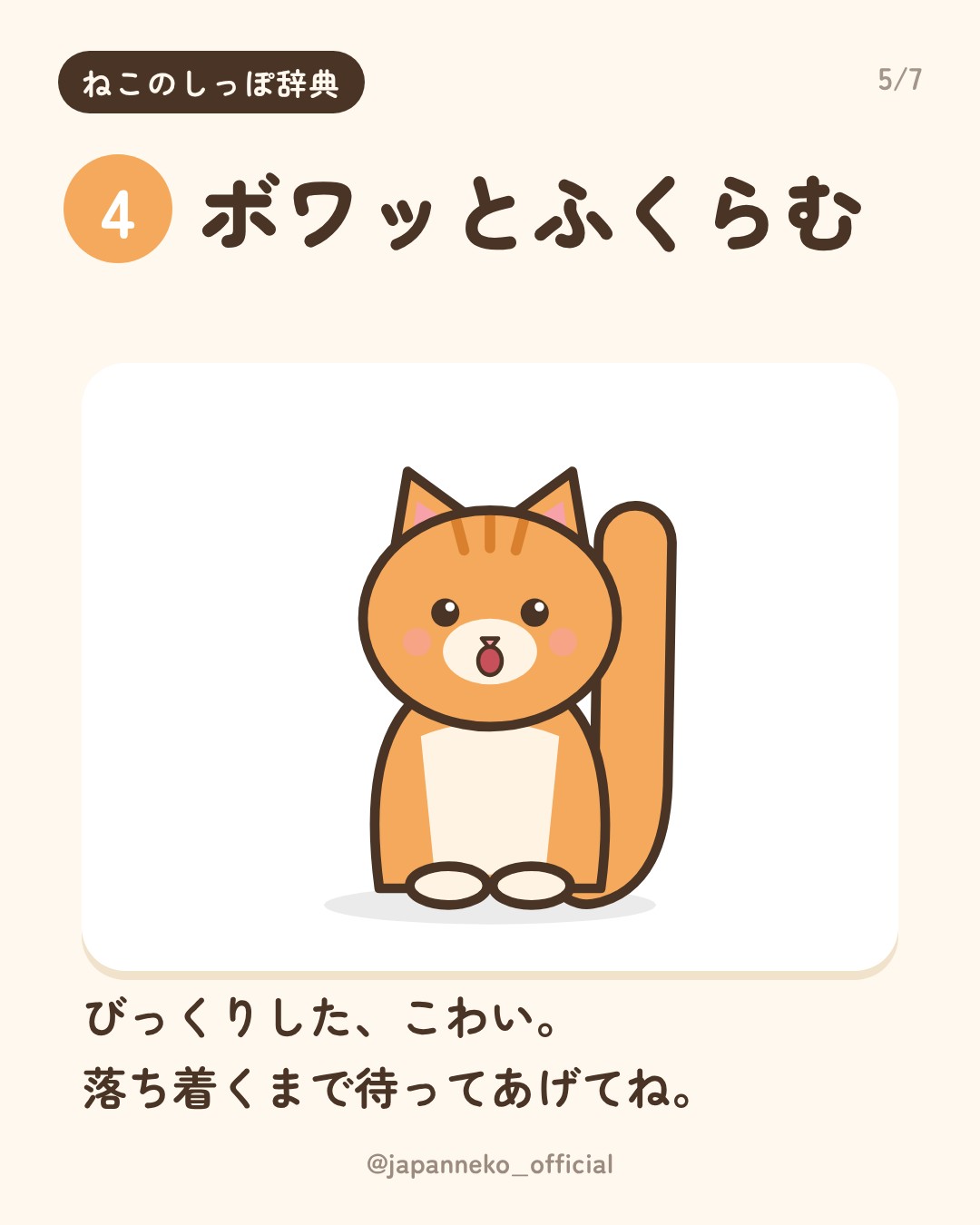 猫のしっぽの気持ち、読めていますか？（5枚目）