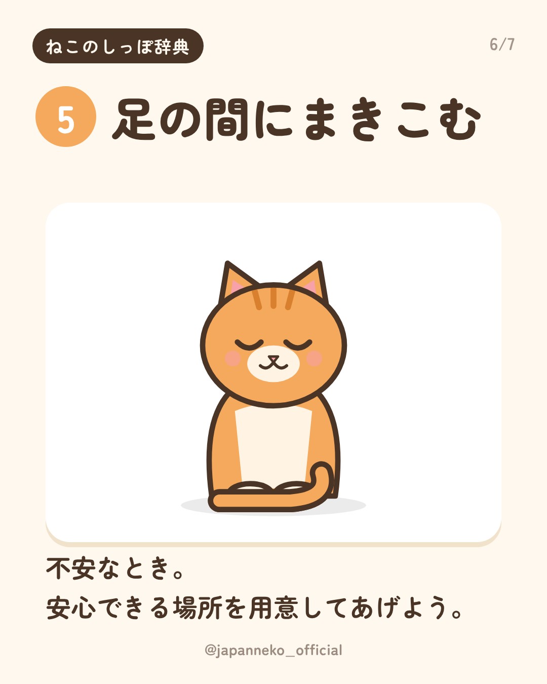 猫のしっぽの気持ち、読めていますか？（6枚目）