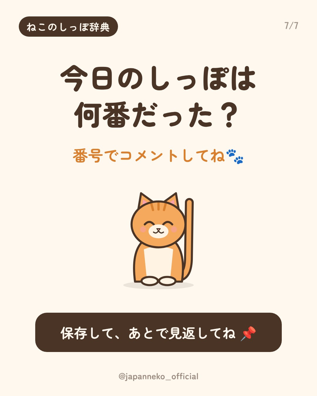 猫のしっぽの気持ち、読めていますか？（7枚目）