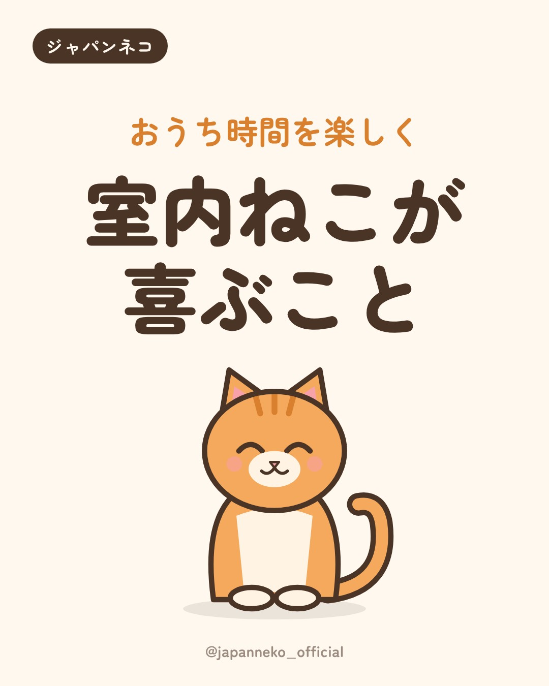 室内で暮らす猫が喜ぶこと5つ