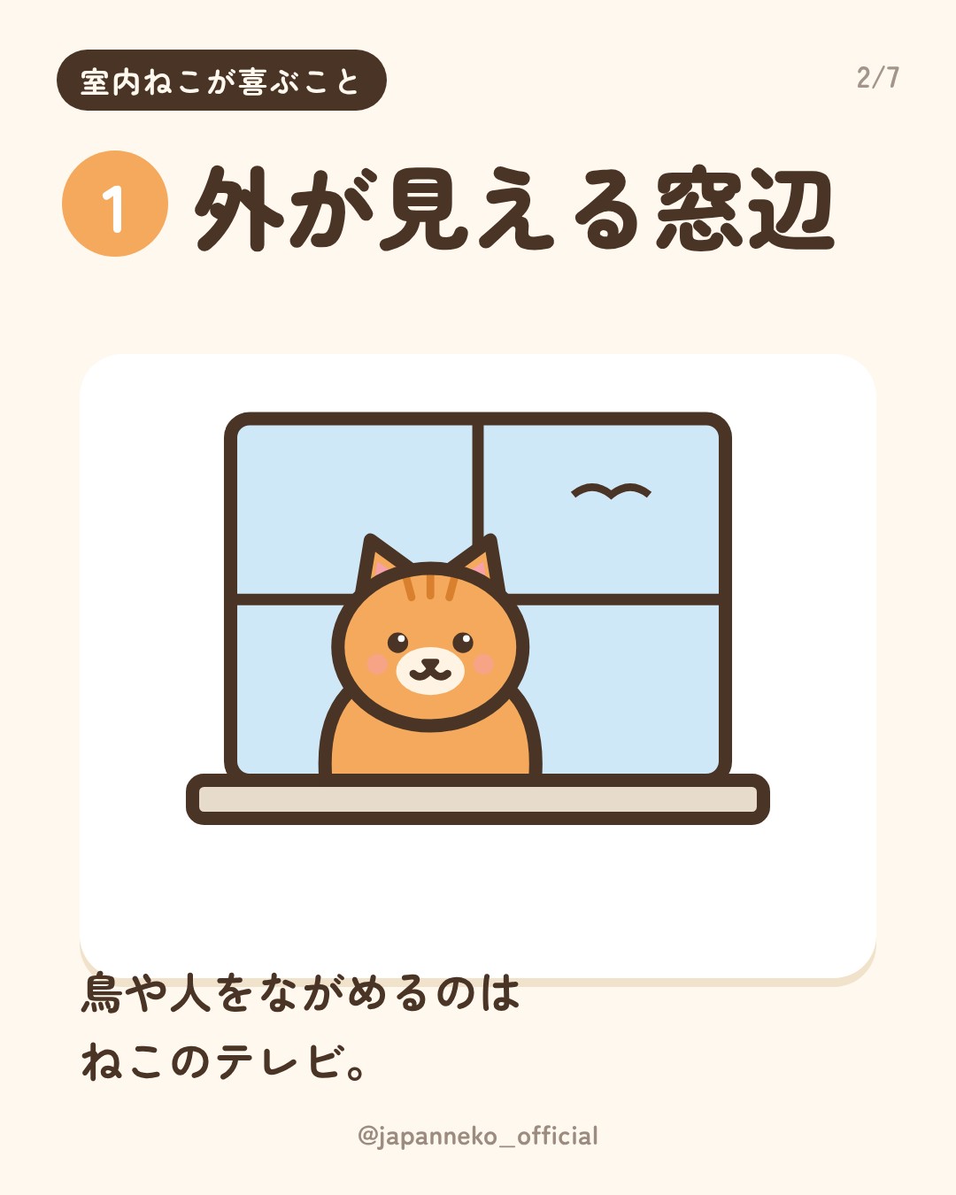 室内で暮らす猫が喜ぶこと5つ（2枚目）