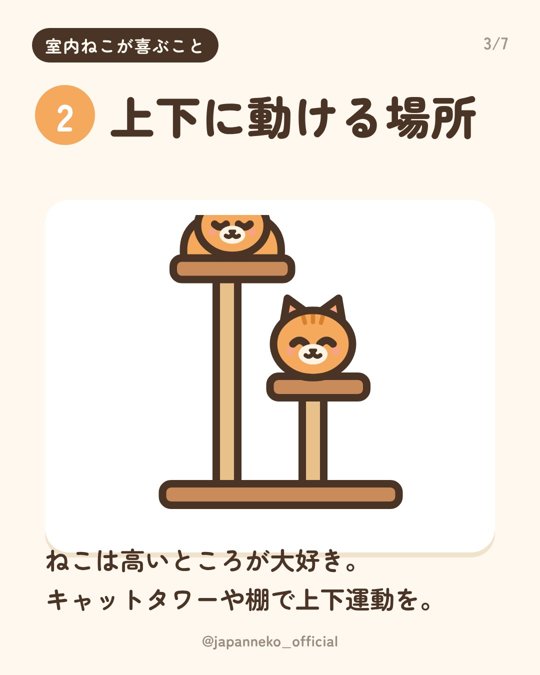 室内で暮らす猫が喜ぶこと5つ（3枚目）