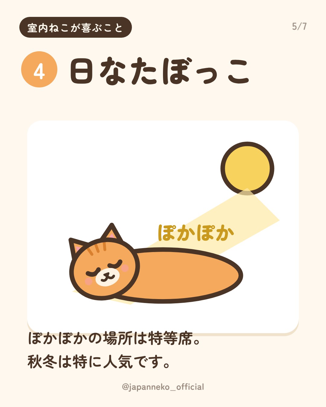 室内で暮らす猫が喜ぶこと5つ（5枚目）