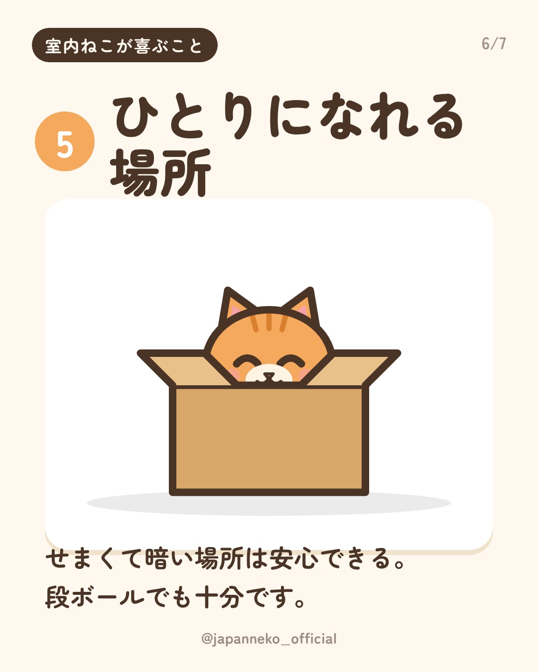 室内で暮らす猫が喜ぶこと5つ（6枚目）