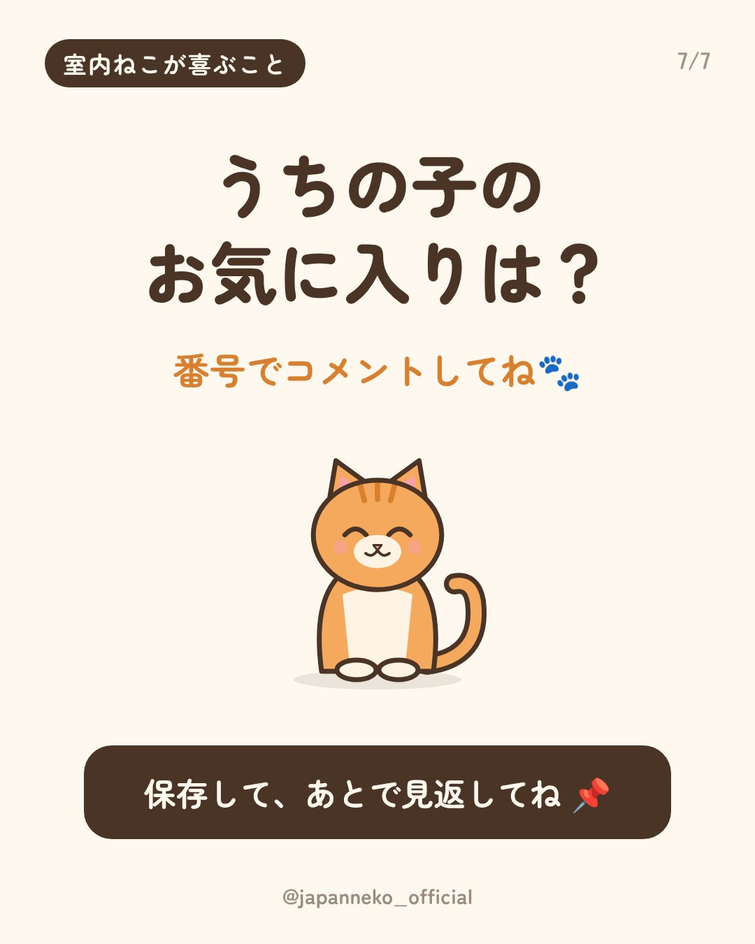 室内で暮らす猫が喜ぶこと5つ（7枚目）