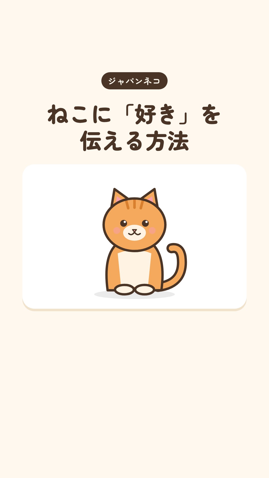 猫に「好き」を伝える方法